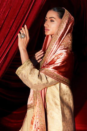 Beige Color Velvet & Brocade Silk Dual-Fabric Designed Unstitched Suit Material