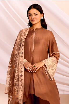 Brown Color Silk Straight Suit