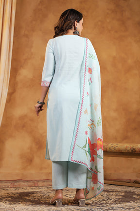 Light Blue Color Cotton Straight Suit