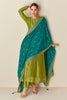 Parrot Green Color Embroidered Crepe Silk Suit